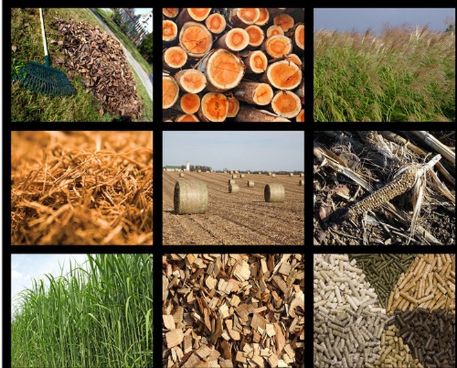 Cách xử lý phế phụ phẩm trồng nấm làm giá thể hữu cơ